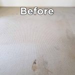 Before Carpet Cleaning Food Stains