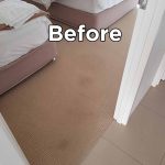 Before Carpet Cleaning Oil Stains