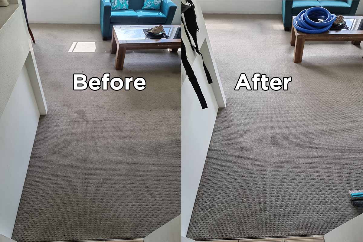 Carpet Cleaning Upper Coomera